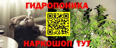 шишки Пыть-Ях