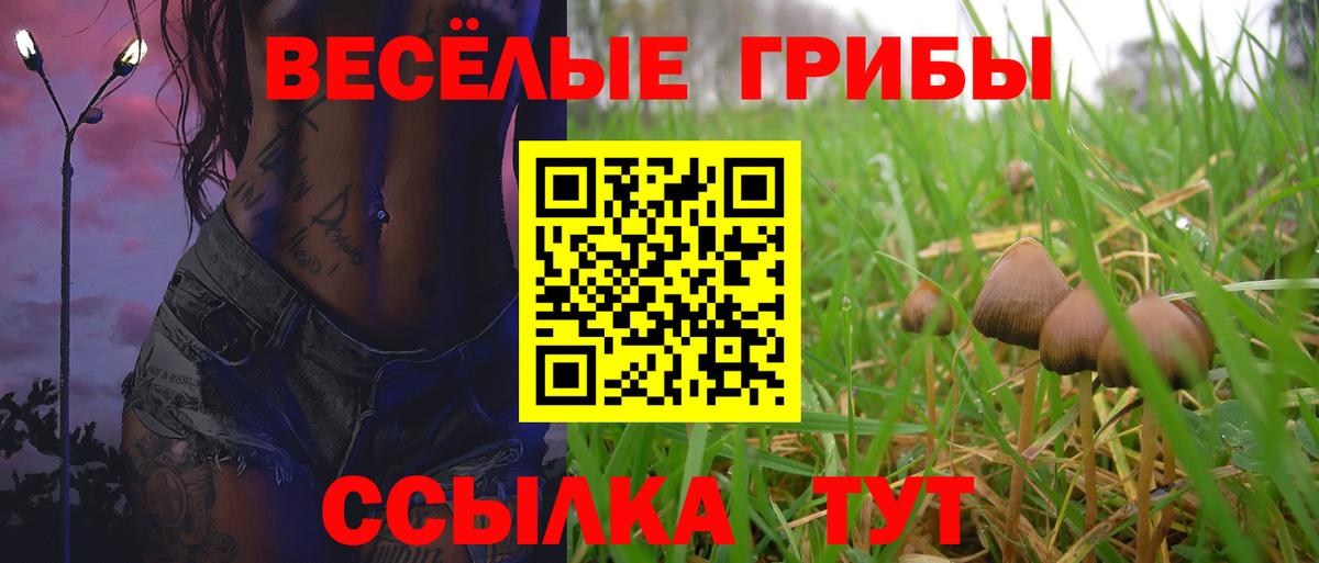Псилоцибиновые грибы мухоморы  Вход с VPN  Озёрск  купить наркотики сайты  Галлюциногенные грибы ЛСД 