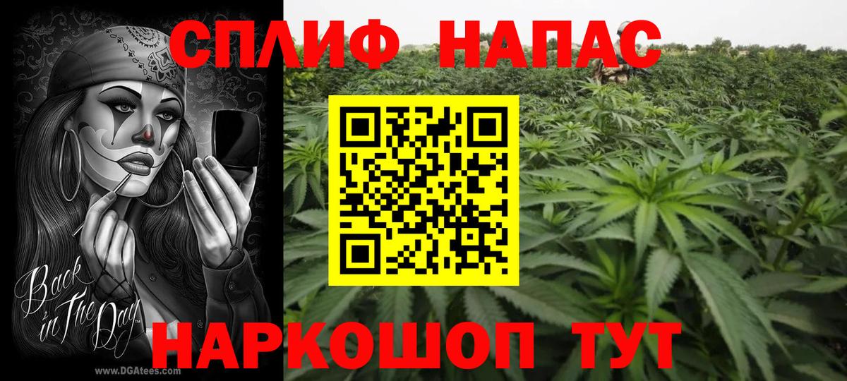 Канабис планчик Озёрск